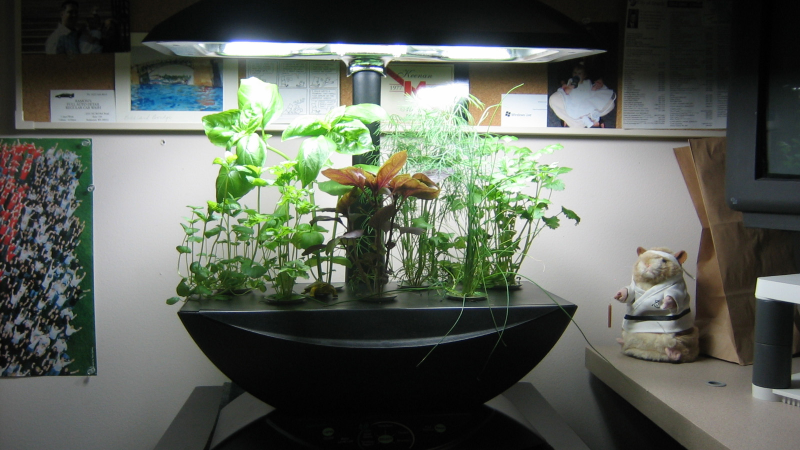 Illustration for article titled 14 High-Tech Farms Where Veggies Grow Indoors